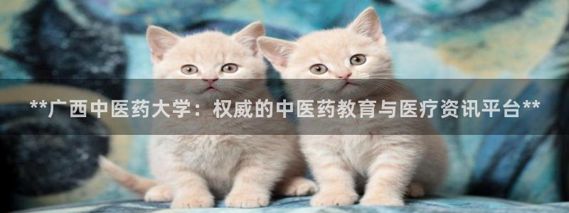 j9九游会买u多少一个