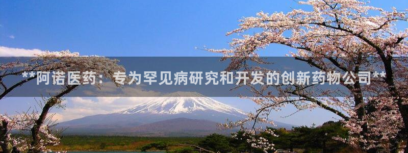 九游会app下载版官网正版