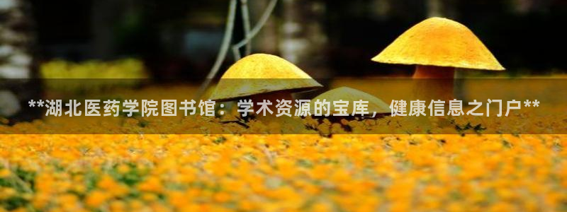 九游会网址是多少