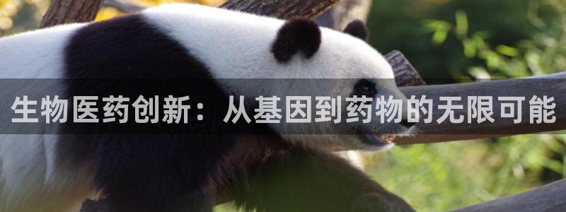 九游J9官方网站