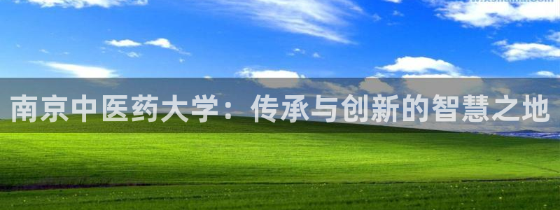 j9九游会真人手机版