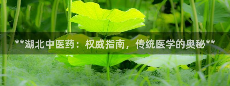 九游会官网入口首页