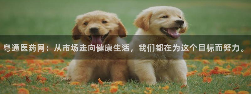 九游会平台ag