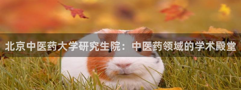 九游会j9登录官网