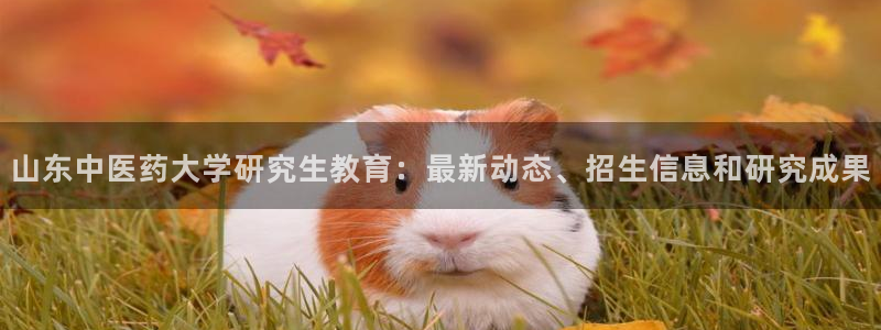 j9九游会官网