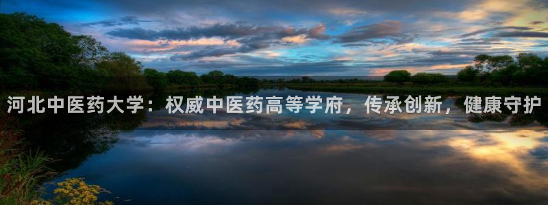 九游会j9官网登陆