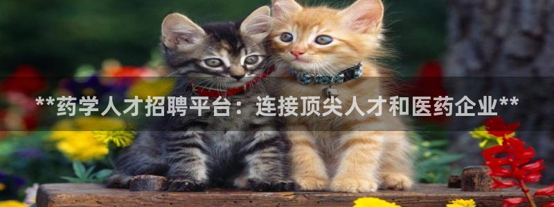 j9p下载