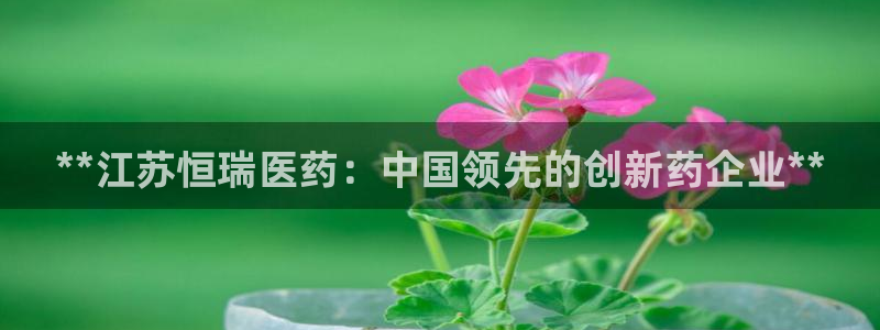 九游j9打不开