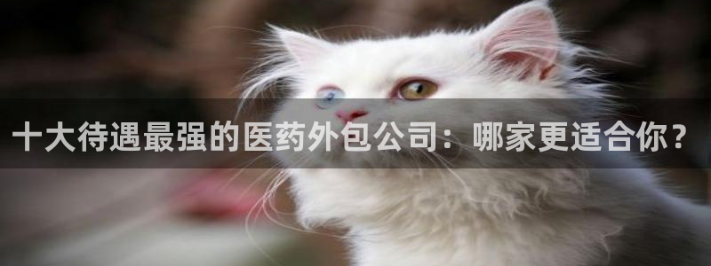 九游会个人中心登录页面