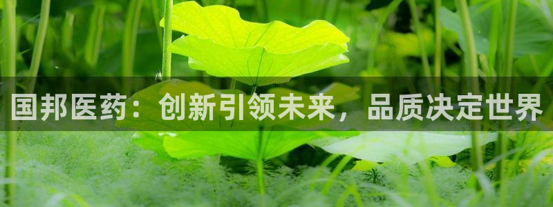 J9九游会试玩入口