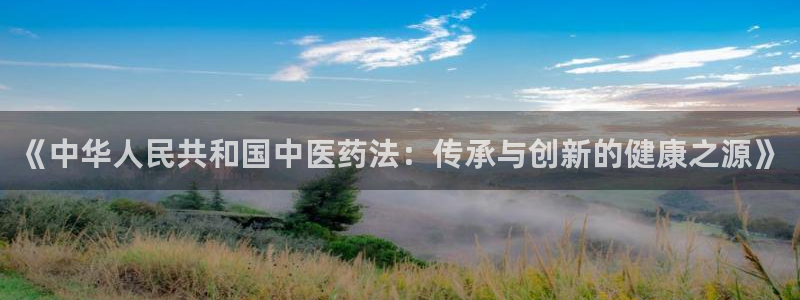 九游会是什么组织