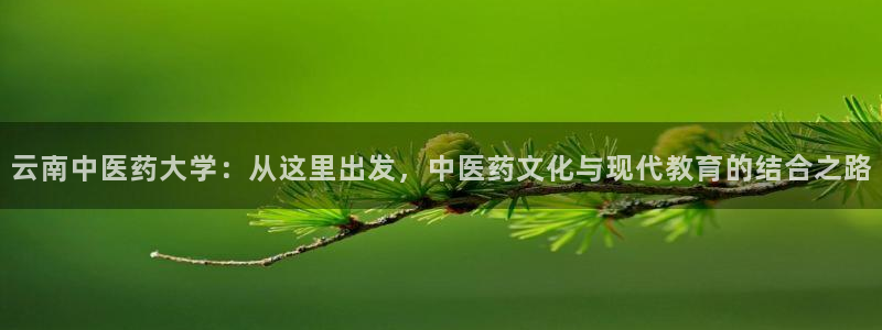 九游官网首页进入j9