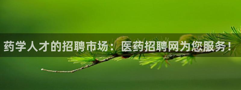 九游会上不去了