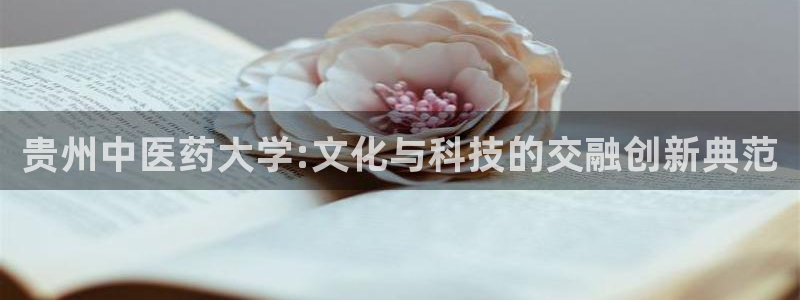 j9九游会会员日