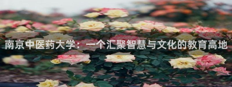 j9九游会入口j9