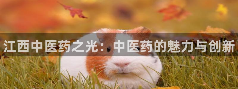 九游会客户端官网