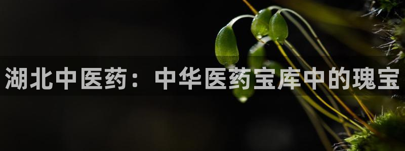 九游会j9官方网站
