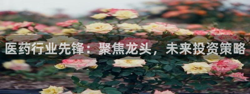 九游会官方登入