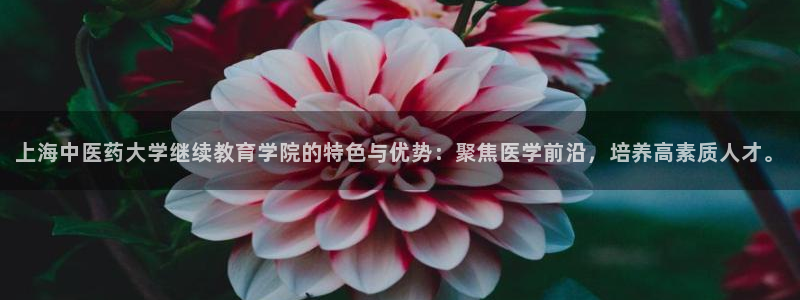 ag九游会