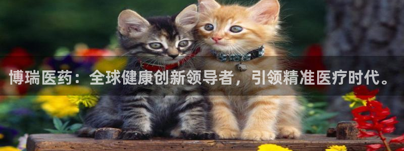 九游会黑吗