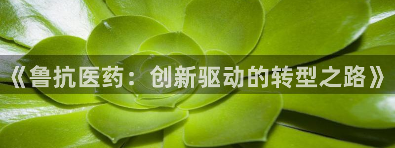 J9九游会手机登录