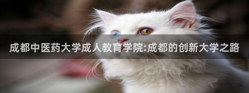 九游会怎么提款