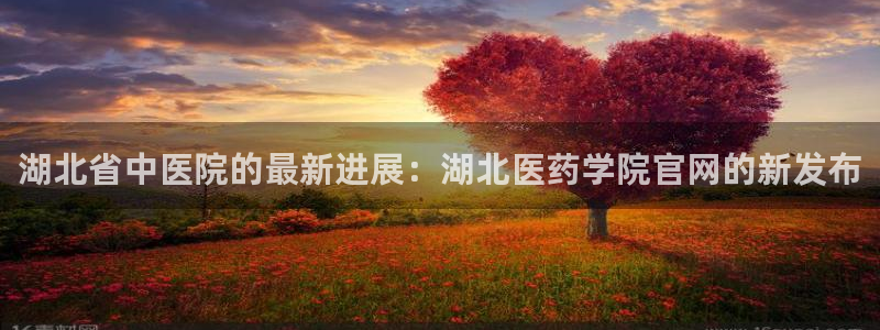 j9九游会买u多少一个