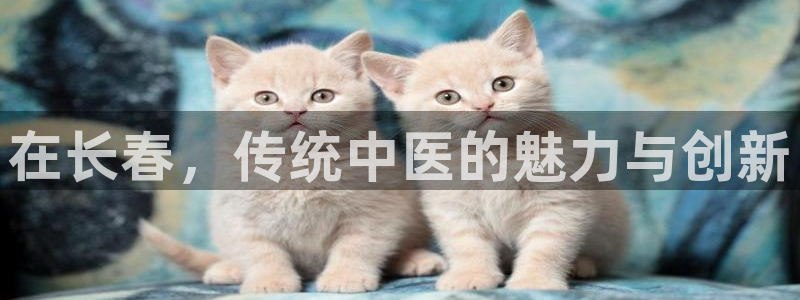ag九游会app下载