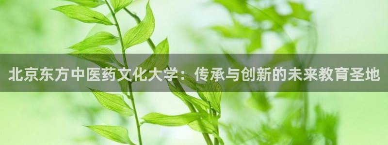 九游会平台app：北