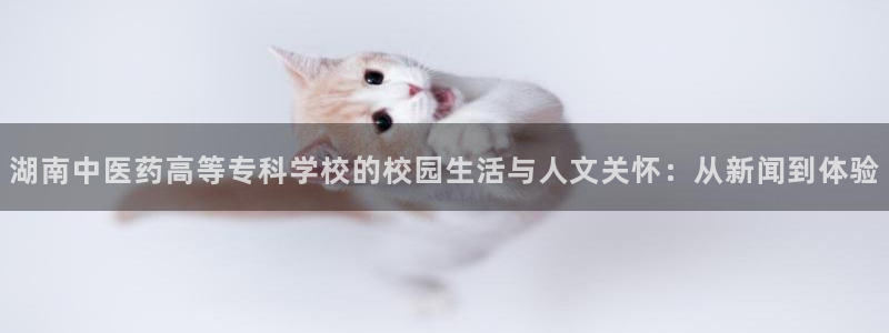 九游会J9登录入口